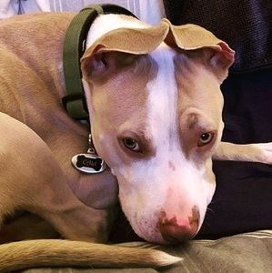 Meet your Posher, Tara